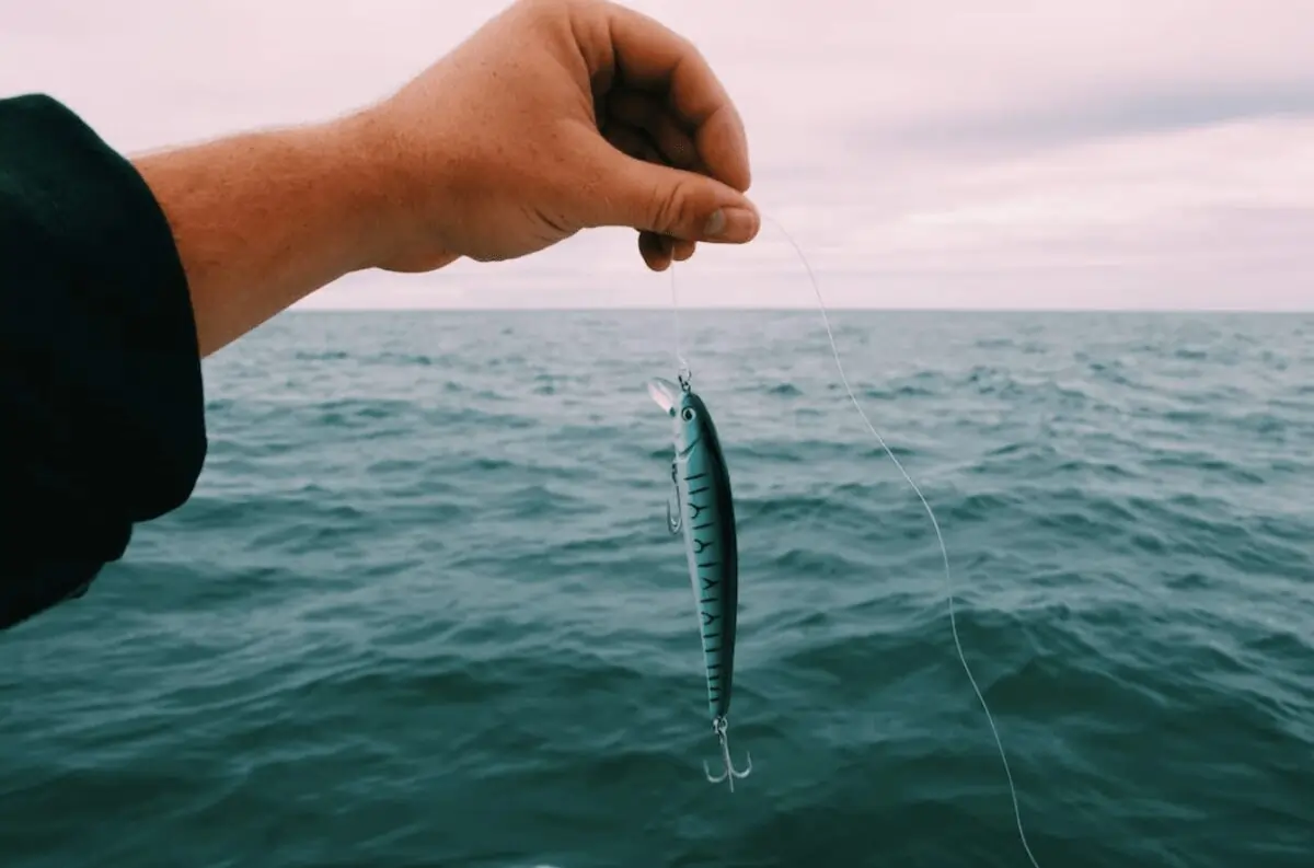 Fishing-in-St.-Pete-Beach-and-Tampa-Bay-Offshore-fishing