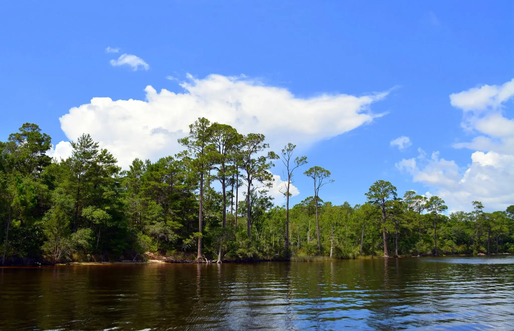 Fred Gannon Rocky Bayou State Park